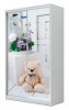 Шкаф - Купе 2-х дверный с фотопечатью - Мебельный салон "Палитра"